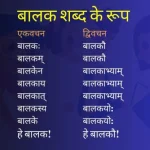 balak shabd roop in sanskrit