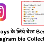 Instagram Bio for Boys Hindi