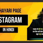 Instagram Bio For Shayari Page In Hindi