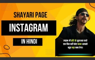 Instagram Bio For Shayari Page In Hindi