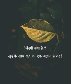 Best Hindi Zindagi Quotes for Life Inspiration